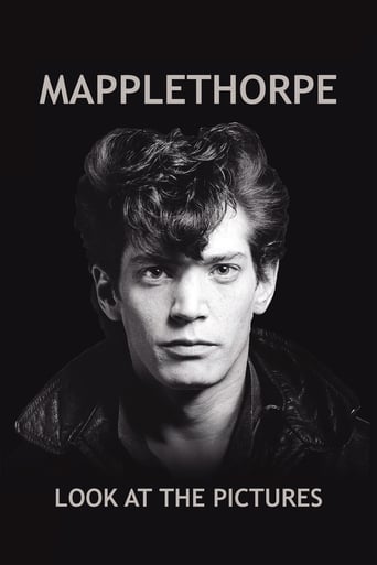 Mapplethorpe: Look at the Pictures stream