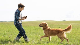 Bailey – Ein Freund fürs Leben foto 5