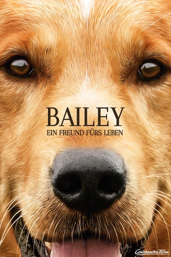 Bailey – Ein Freund fürs Leben stream
