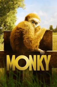 Monky: Kleiner Affe, großer Spass