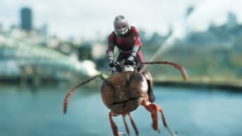 Ant-Man and the Wasp foto 10