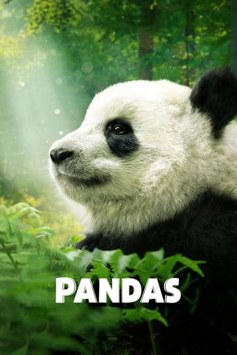 Pandas stream