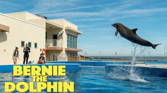 Bernie der Delfin foto 0