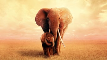 Die Elefantenmutter foto 0