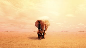Die Elefantenmutter foto 7