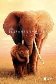 Die Elefantenmutter